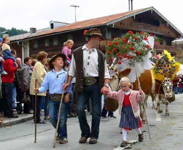 Almabtrieb Nachwuchs